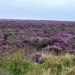 Littlebeck Bed and Breakfast Danby