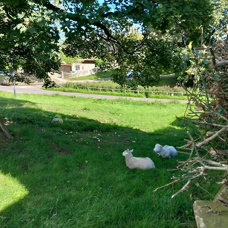 Bed & Breakfast Littlebeck Danby