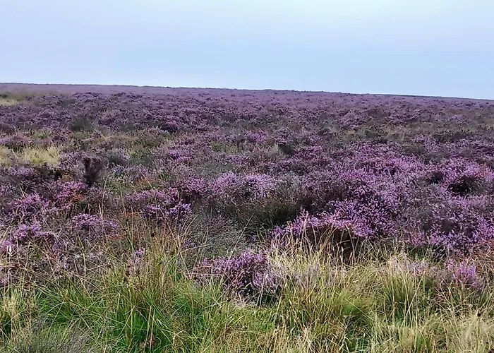 Littlebeck Bed & Breakfast Danby