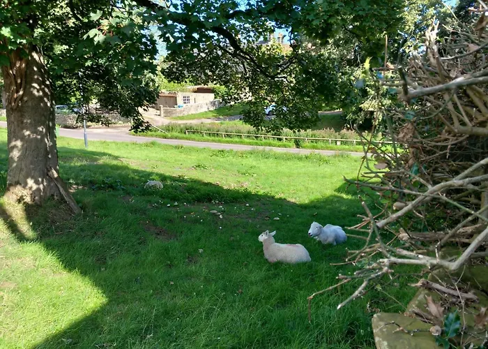 Bed & Breakfast Littlebeck Danby
