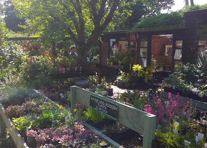 Littlebeck Bed & Breakfast Danby