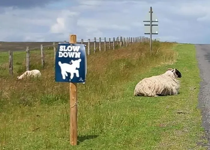 Bed & Breakfast Littlebeck *