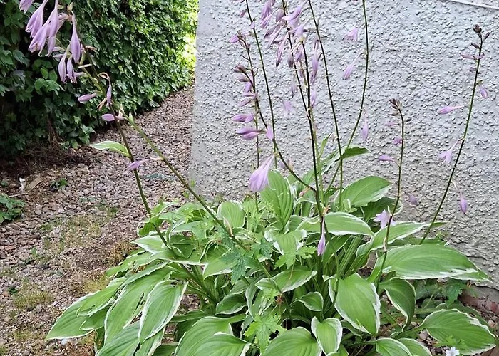 Bed & Breakfast Littlebeck