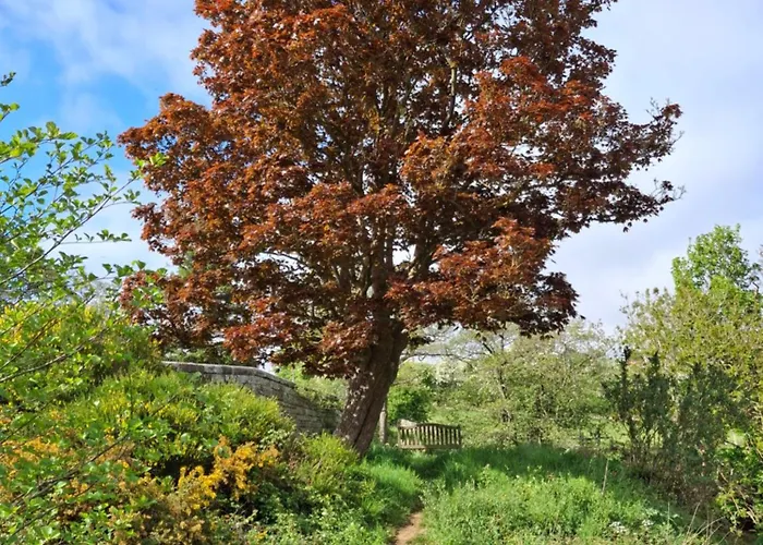Bed & Breakfast Littlebeck Danby