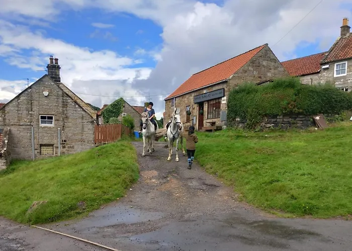 住宿加早餐酒店 Littlebeck 丹比